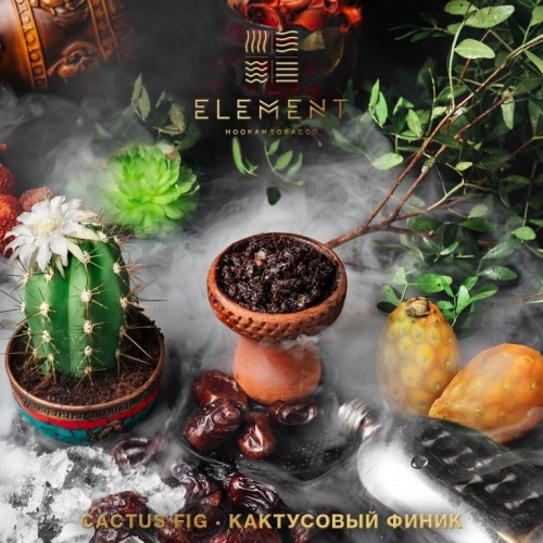 Element &#8212; Кактусовый финик